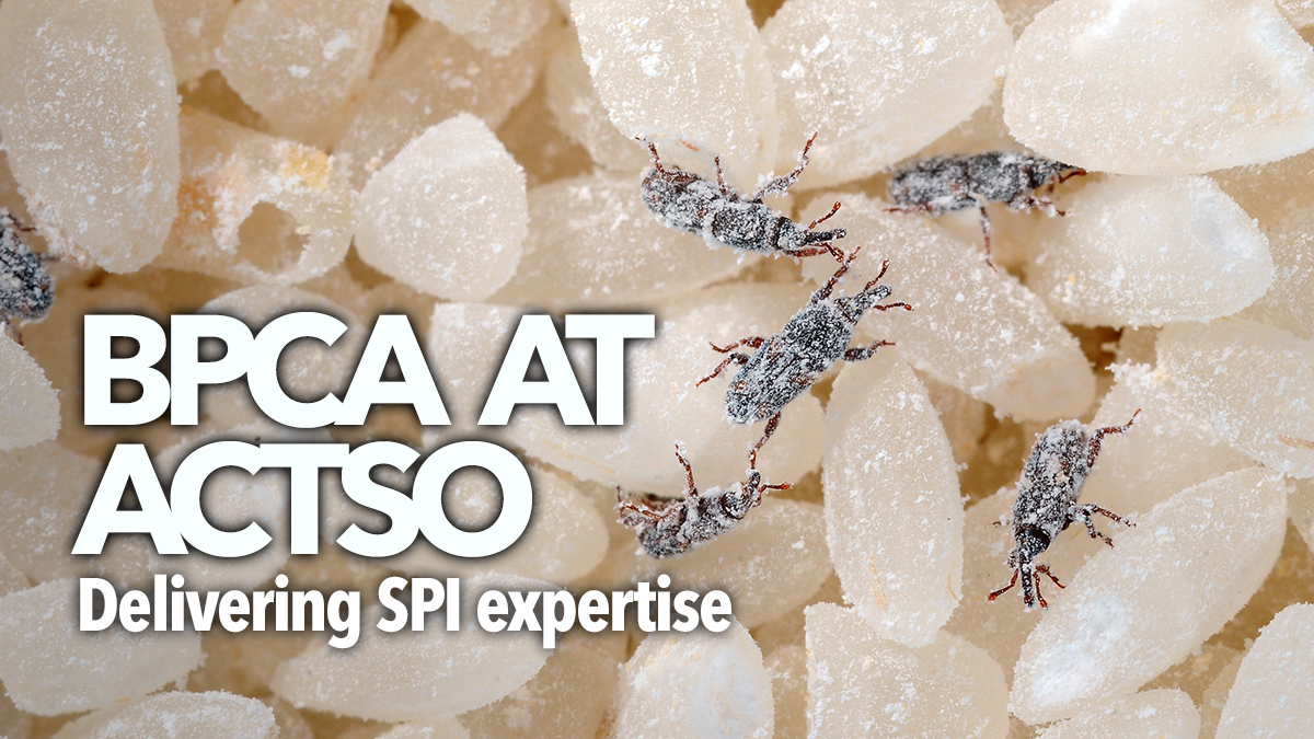 actso presentation spi actso presentation spi